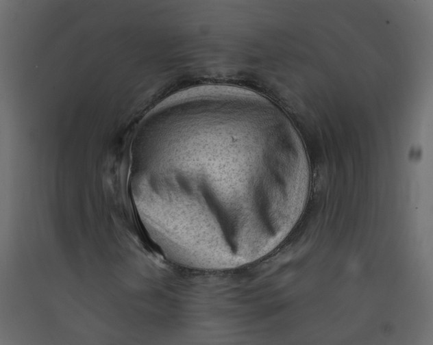 X0000089461202200707131941