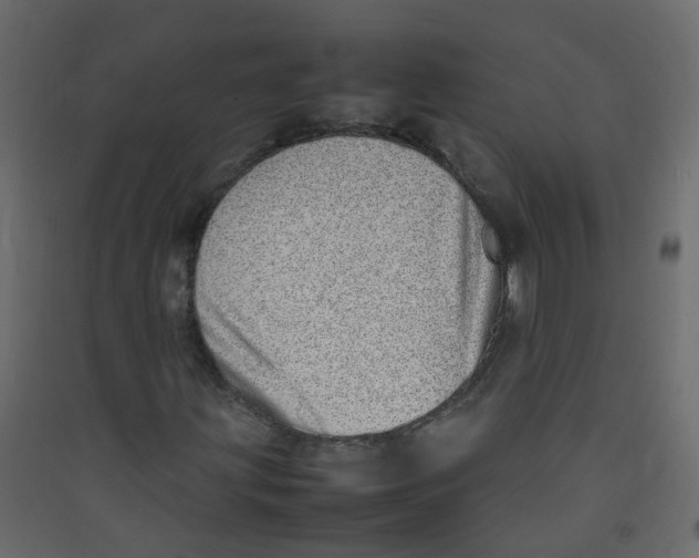 X0000089461203200707131941