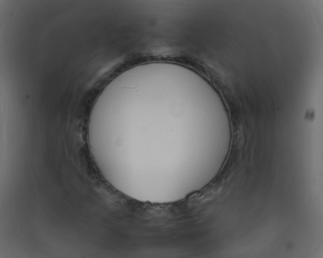 X0000089461205200707131941