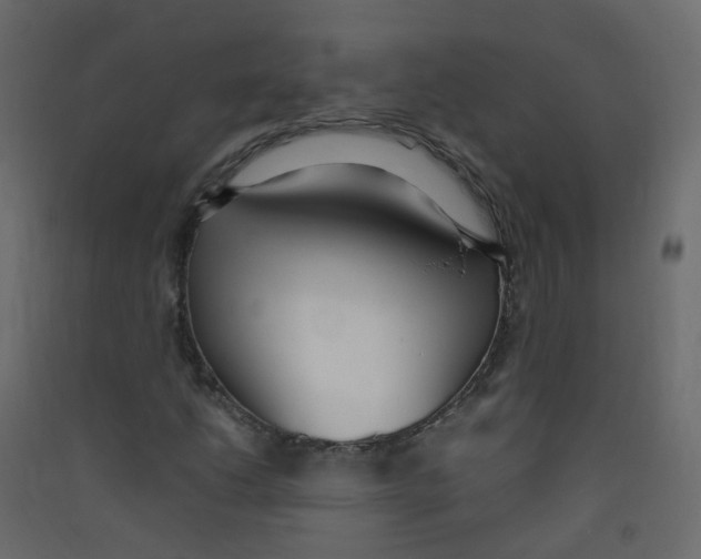 X0000089461206200707131941