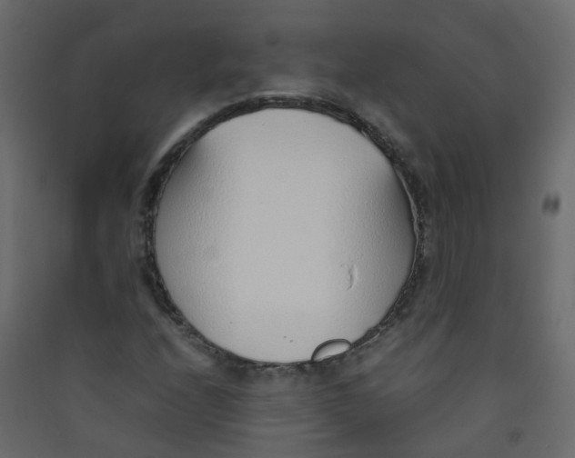 X0000089461208200707131941