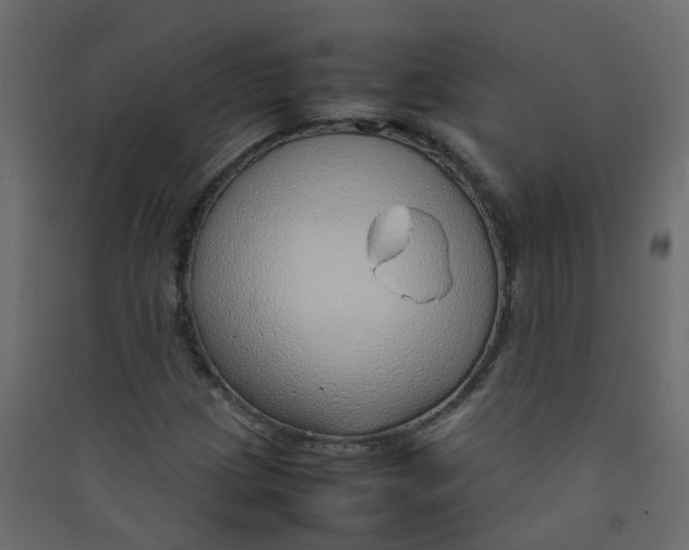 X0000089461209200707131941