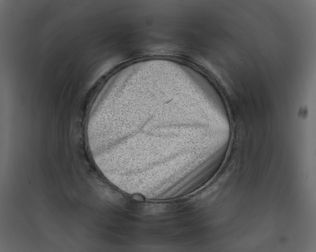 X0000089461211200707131941