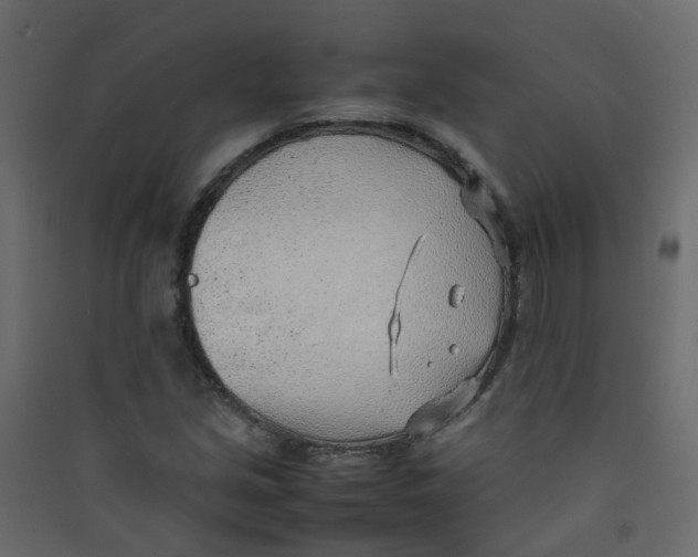 X0000089461213200707131941