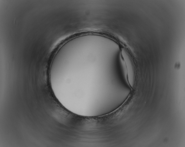 X0000089461214200707131941