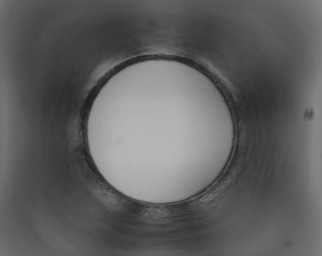 X0000089461215200707131941