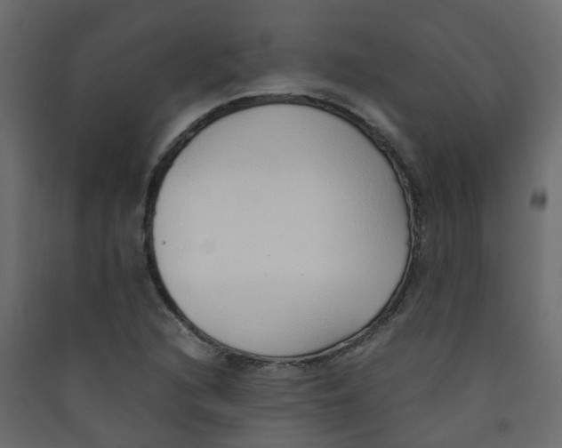 X0000089461216200707131941