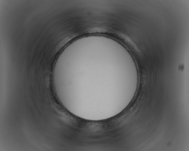 X0000089461217200707131941