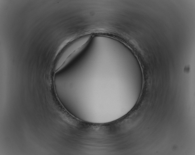 X0000089461218200707131941