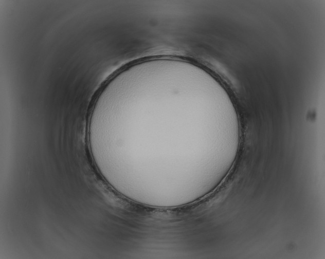 X0000089461220200707131941