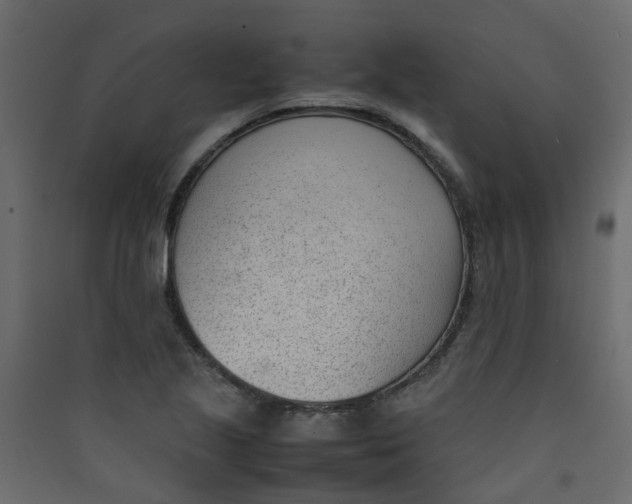 X0000089461221200707131941