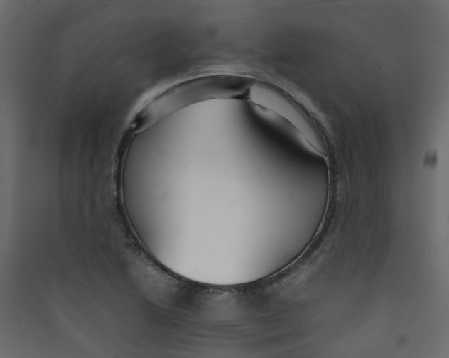 X0000089461222200707131941