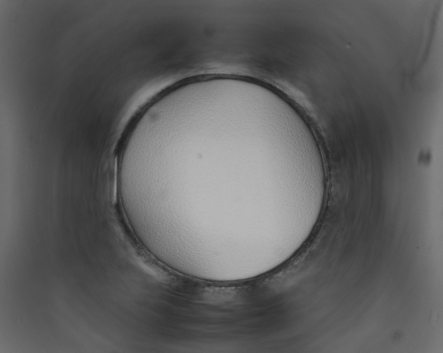 X0000089461223200707131941