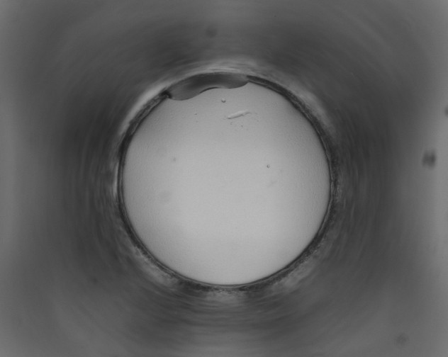 X0000089461224200707131941