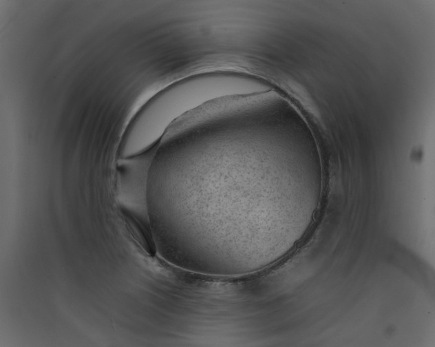 X0000089461226200707131941