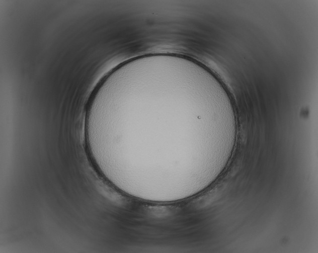 X0000089461227200707131941