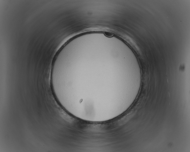 X0000089461228200707131941