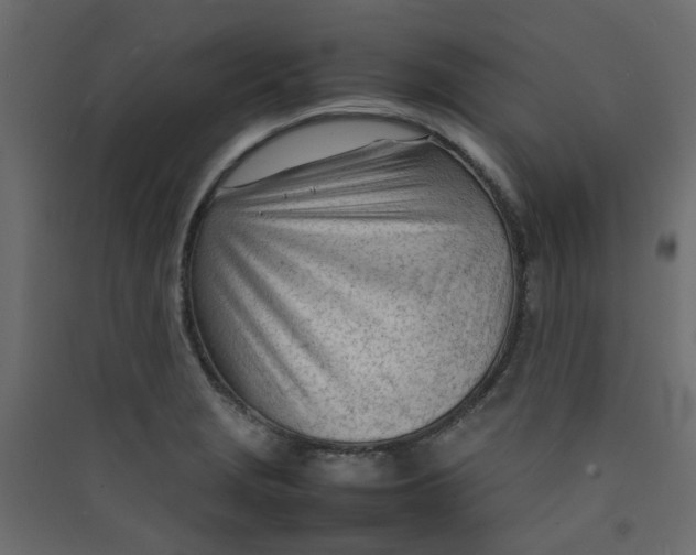 X0000089461229200707131941