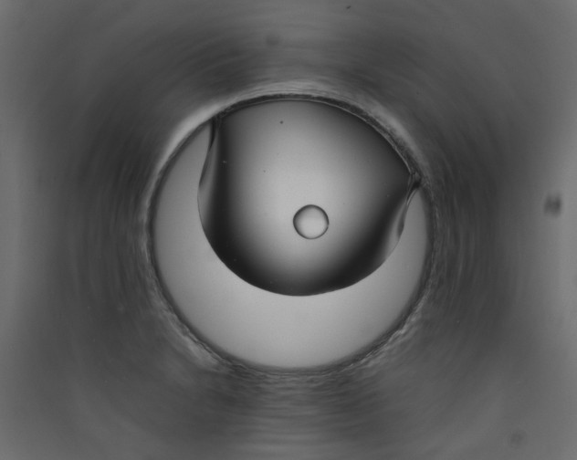 X0000089461230200707131941