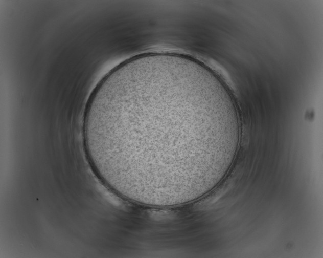 X0000089461231200707131941