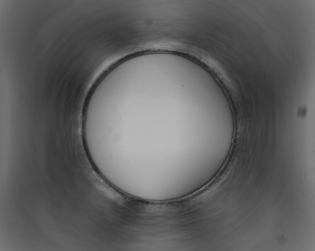 X0000089461232200707131941