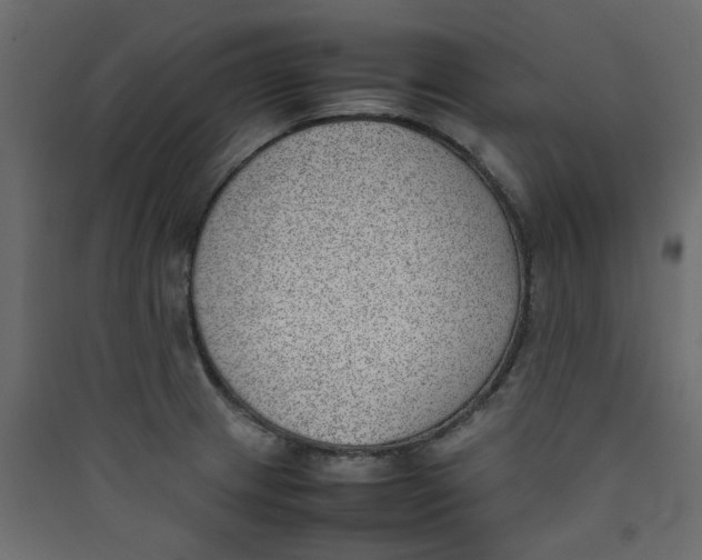 X0000089461233200707131941