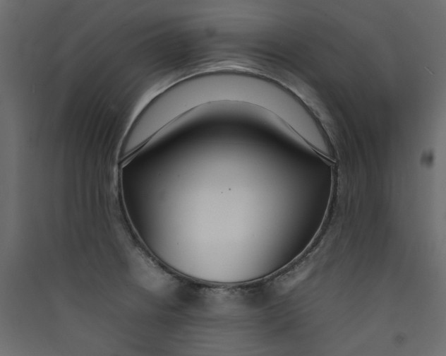 X0000089461234200707131941