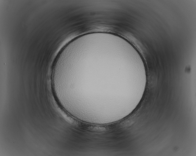 X0000089461235200707131941