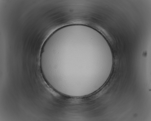 X0000089461236200707131941