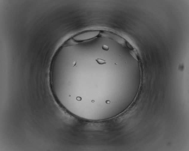 X0000089461237200707131941