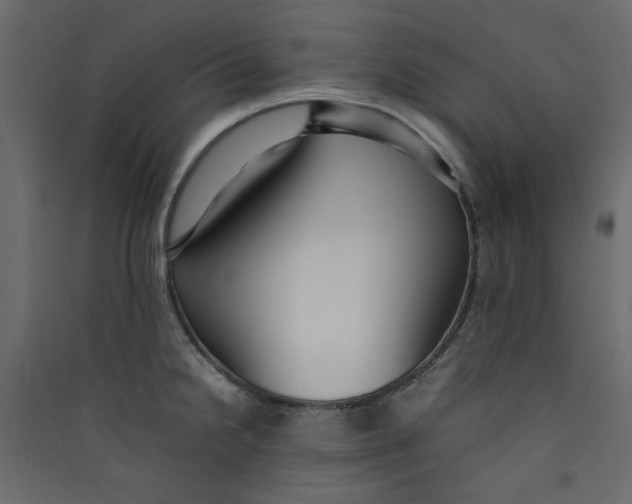 X0000089461238200707131941