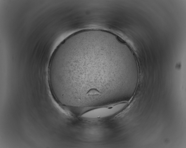 X0000089461239200707131941