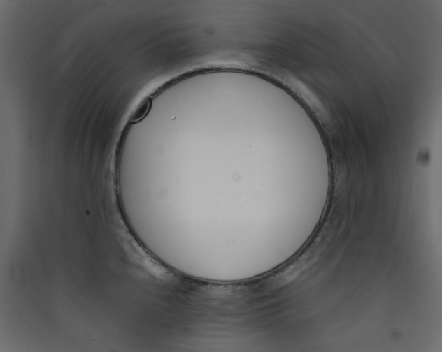 X0000089461240200707131941