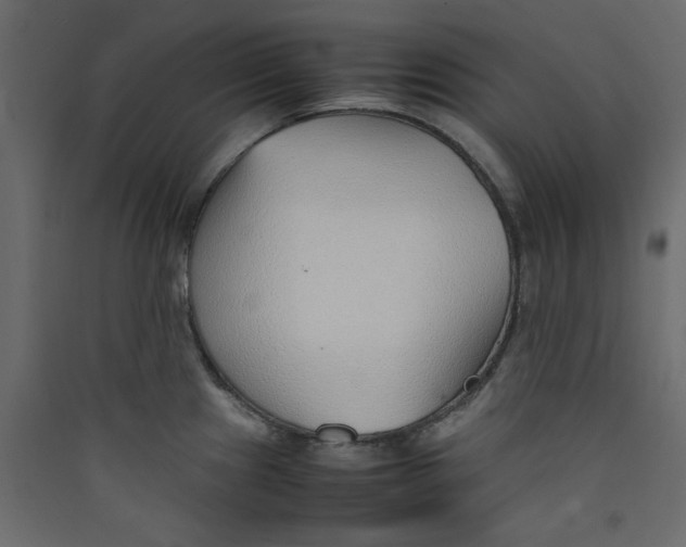 X0000089461241200707131941