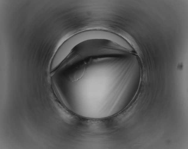 X0000089461242200707131941