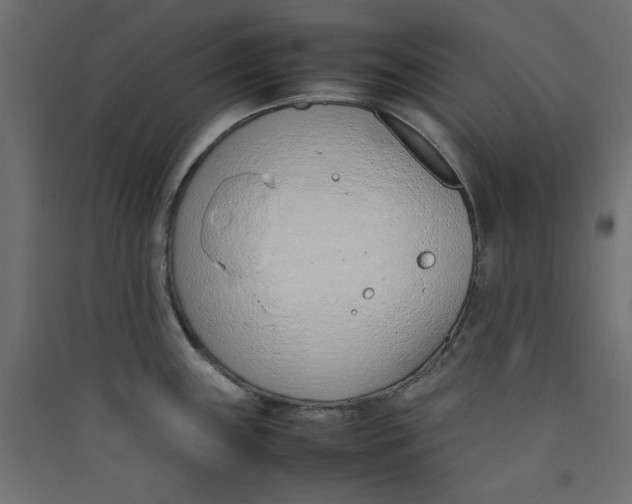 X0000089461243200707131941