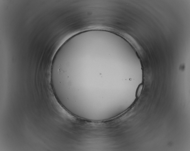 X0000089461244200707131941