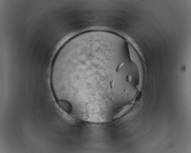 X0000089461245200707131941