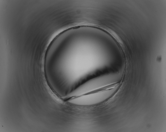 X0000089461246200707131941