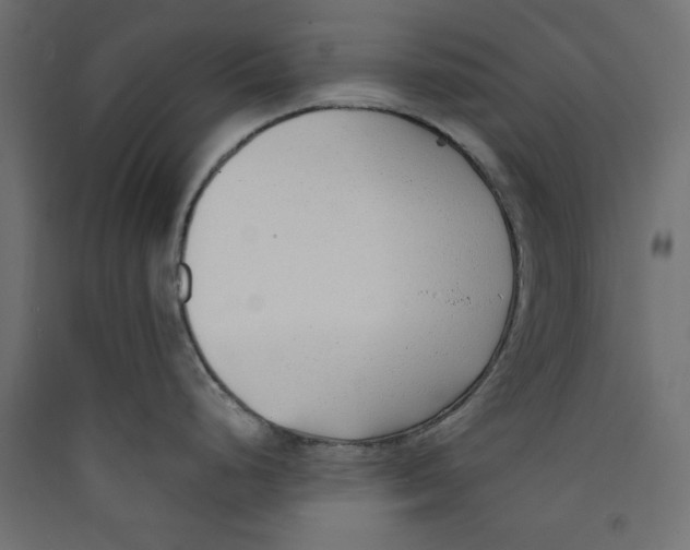 X0000089461248200707131941