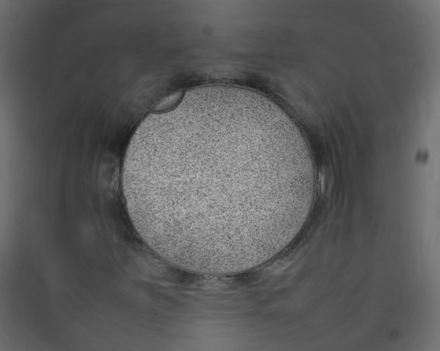 X0000089461251200707131940