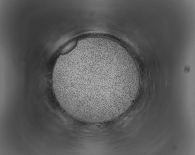 X0000089461255200707131940