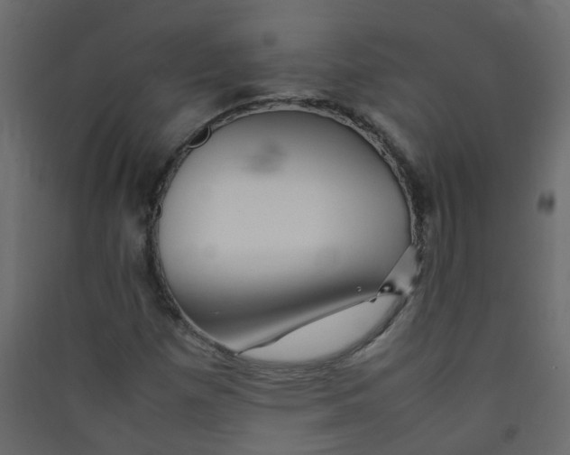 X0000089461257200707131940