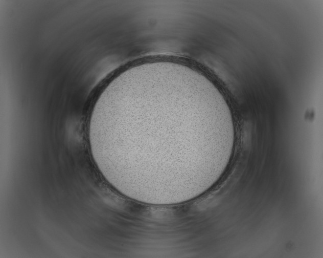 X0000089461258200707131940