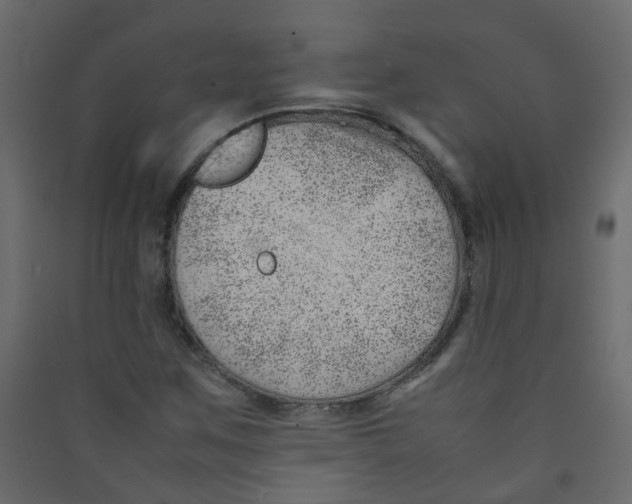 X0000089461259200707131940