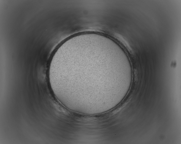 X0000089461260200707131940