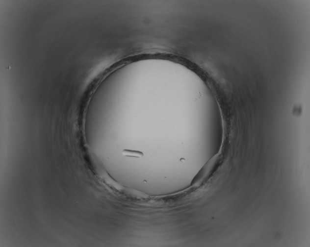 X0000089461261200707131940