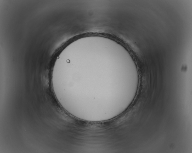 X0000089461262200707131940