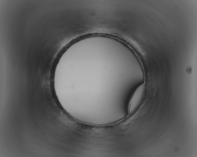 X0000089461264200707131940