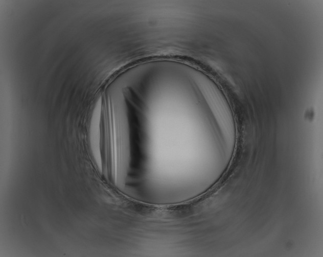 X0000089461265200707131940